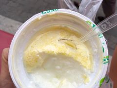 -德禄酸奶(莫家街店)