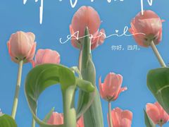 -上海嘉宁·心理咨询中心