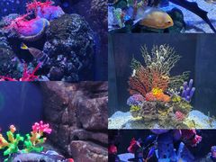 -成都浩海立方海洋公园