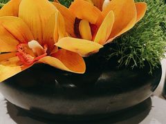 -丰收日(杨浦公园店)