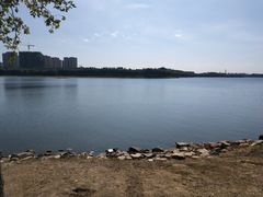 -丁香湖公园