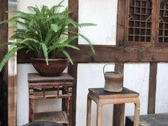 -太平张醪糟(西街直营店)