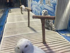 -成都浩海立方海洋公园