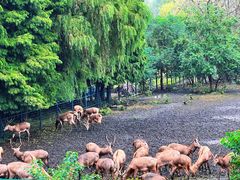 -溱湖国家湿地公园