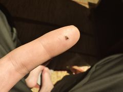 -浙江三立开元名都大酒店