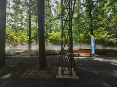 -东平国家森林公园