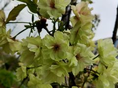 -新天地活力PARK