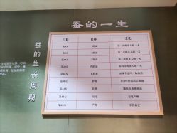 -太湖雪蚕桑文化园