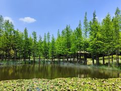 -南京银杏湖乐园