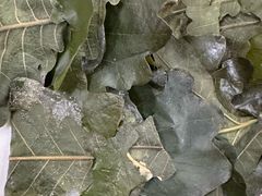 -山海关清和浑锅店