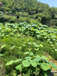 -Zoolung Zoolung动物主题公园(海信广场店)