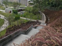 -白石龙音乐公园