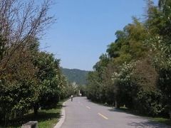 android_upload_pic-旺山景区