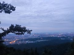 -紫金山山顶公园