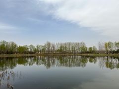 -东郊湿地公园
