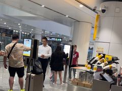 -麦当劳(北京大兴机场二层国内到达(安检外)店)