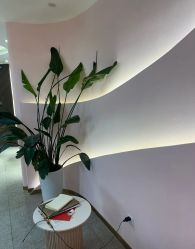 -MUSES专业脱毛比基尼サロン日式连锁