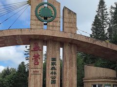 -五营红松林海景区