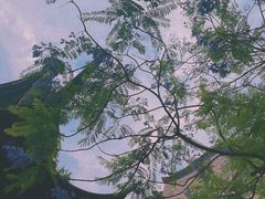 -龙潭水乡