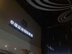 -幸福蓝海国际影城(河西店)