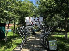 -大兴滨河森林公园