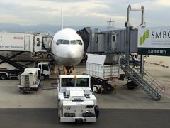 -全日本空输株式会社(上海办事处)