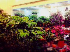 iphone_upload_pic-双季花艺园艺市场(浦东店)