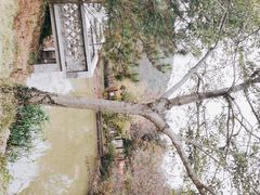 -龙寺生态园