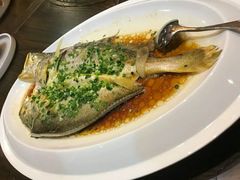 清蒸黄鱼-醉香园(长江北路店)
