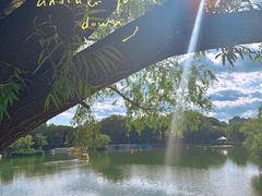-朝阳公园
