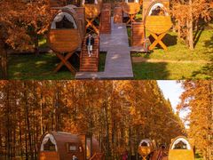 -黄海国家森林公园