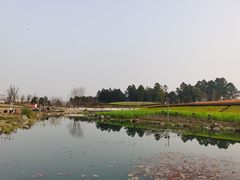 -天府芙蓉园