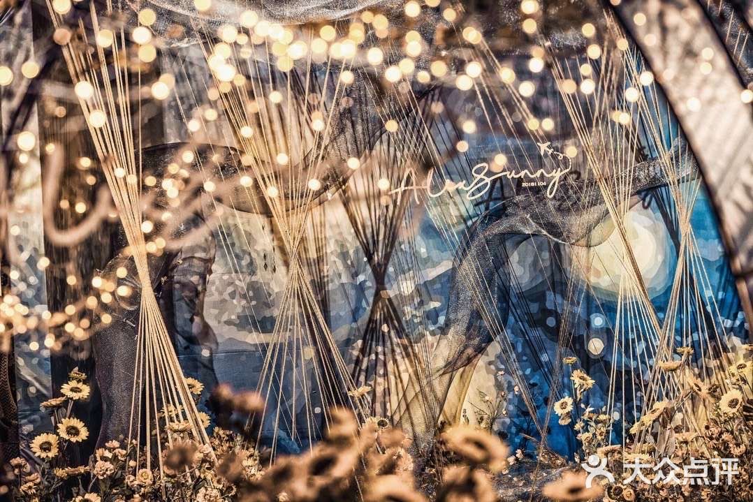 星空遇上向日葵