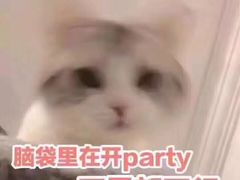 -紫滇源云南生态菜(丹凤街店)
