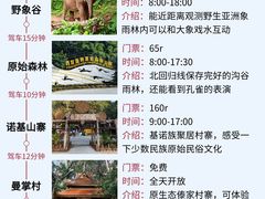 -西双版纳总佛寺