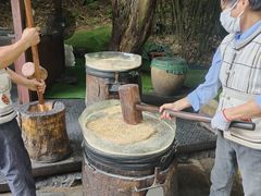 -野象谷景区
