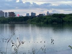 -海珠湖公园