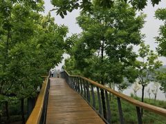 -东郊湿地公园