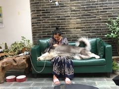 -浔岚云舍mist静谧观景美宿(丽江古城店)