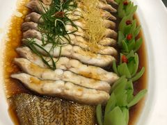 干蒸野生大塌鱼-瓯菜排档·温州海鲜(玕南店)