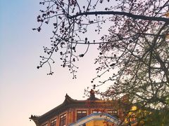 -广州中山纪念堂