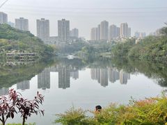 -重庆彩云湖湿地公园
