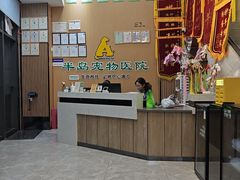 -半岛宠物医院24小时·内窥镜·牙科·碎石中心(府城大道店)
