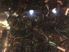 -RED LOBSTER(中城西店)