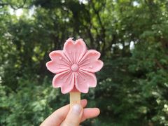 -上海辰山植物园