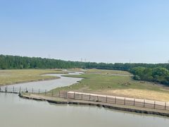 -溱湖国家湿地公园