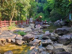 -广州白江湖森林公园