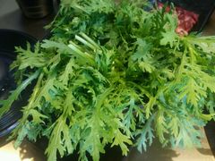 茼蒿-手选潮汕鲜活牛肉火锅(二七广场店)