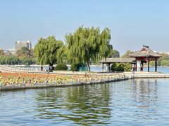 -济南大明湖景区