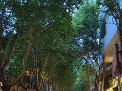 -西安电影制片厂